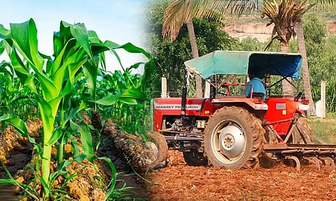 வேளாண்மையில் அதிக உற்பத்திக்கும், தொழில்நுட்பப் பயன்பாட்டிற்கும் ரொக்கப்பரிசுகள் - அமைச்சர் அறிவிப்பு