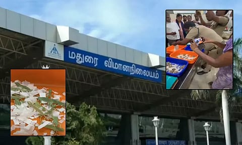பயணியிடம் இருந்து அரிய வகை உயிரினங்கள் பறிமுதல் - மதுரை விமான நிலையத்தில் பரபரப்பு