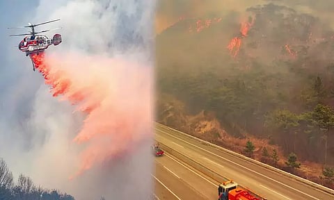 தென்கொரியாவில் காட்டுத்தீ: 16 பேர் பலி; 19 பேர் காயம்