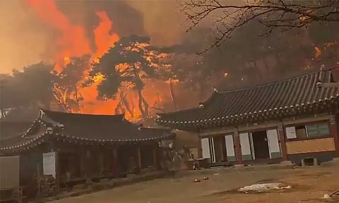 தென்கொரியா: காட்டுத்தீக்கு 1,000 ஆண்டு பழமையான புத்த கோவில் சேதம்; வைரலான வீடியோ