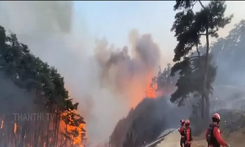 தென்கொரியாவில் காட்டுத்தீ: பலி எண்ணிக்கை 28 ஆக உயர்வு