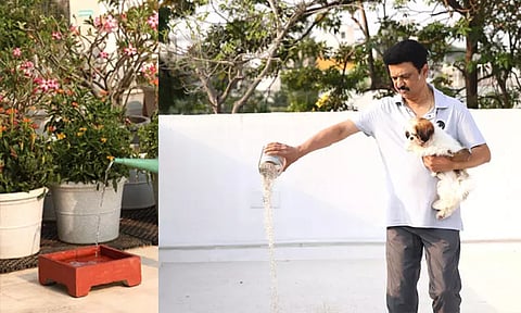 பறவைகளுக்கு நீரும் உணவும் கொடையளிப்போம்: முதல்-அமைச்சர் மு.க. ஸ்டாலின்