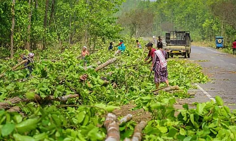 13 ஆயிரம் சதுர கி.மீ. வனப்பகுதிகள் ஆக்கிரமிப்பில் சிக்கியுள்ளன-மத்திய அரசு தகவல்