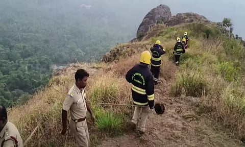 நீலகிரி அருகே தேனீக்கள் கொட்டி சுற்றுலா பயணி உயிரிழப்பு