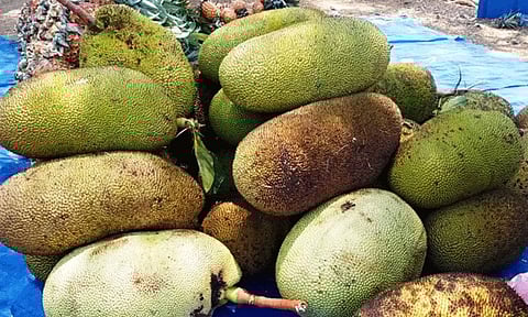 பண்ருட்டி பலாப்பழம், உட்பட தமிழகத்தில் மேலும் ஆறு பொருட்களுக்கு புவிசார் குறியீடு