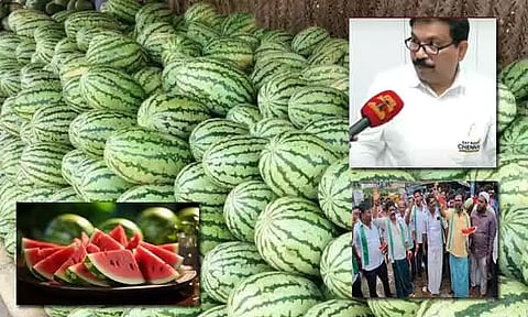 "தர்பூசணியில் ரசாயன கலவையா..?" - உணவுப் பாதுகாப்புத்துறை அதிகாரி கூறுவது என்ன..?