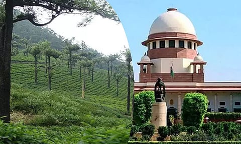 மாஞ்சோலை, அகஸ்தியர் மலைப்பகுதியில் ஆய்வு செய்ய மத்திய அரசுக்கு சுப்ரீம் கோர்ட்டு உத்தரவு