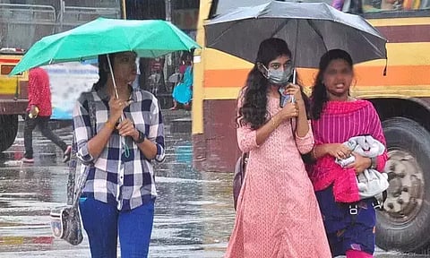 7 மாவட்டங்களில் கனமழைக்கு வாய்ப்பு; வானிலை ஆய்வு மையம்