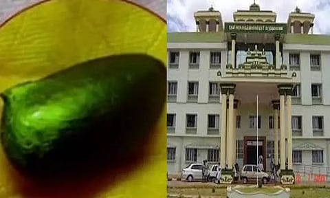 பெண்ணின் நுரையீரல் சுவாசக் குழாயில் சிக்கியிருந்த சப்போட்டா விதை