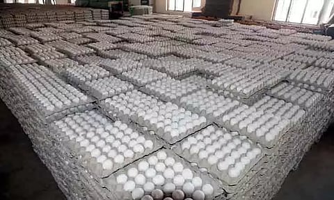 முட்டை விலை 10 காசுகள் உயர்வு