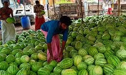 தர்பூசணி சாகுபடி செய்த விவசாயிகளுக்கு இழப்பீடு வழங்க கோரிக்கை