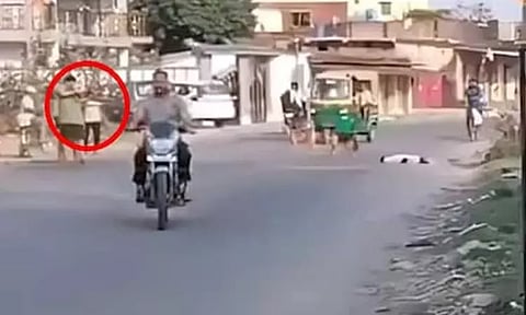 நடுரோட்டில் தெருநாயை சுட்டுக்கொன்ற நபர் - அதிர்ச்சி சம்பவம்