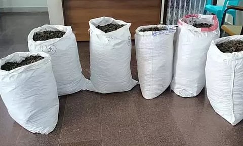 தாம்பரத்தில் 140 கிலோ கஞ்சா பறிமுதல்: ஒருவர் கைது