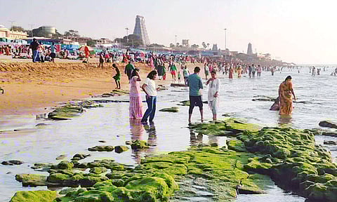 திருச்செந்தூரில் திடீரென உள்வாங்கிய கடல்