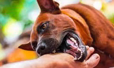 கோப்புப்படம்