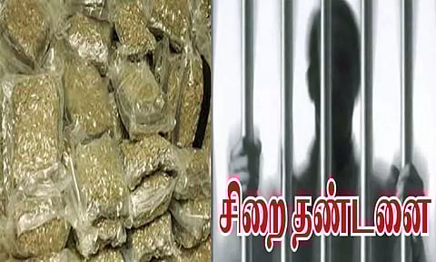 மதுரையில் கஞ்சா கடத்திய குற்றவாளிக்கு 12 ஆண்டுகள் சிறை - நீதிபதி தீர்ப்பு