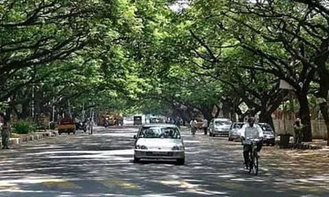 சுட்டெரிக்கும் கோடை காலம் தொடக்கம்: வெப்பம் குறைய தீர்வுதான் என்ன?