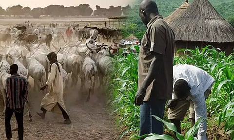 நைஜீரியா: விவசாயிகள், கால்நடை பராமரிப்பாளர்கள் இடையே மோதல் - 56 பேர் பலி