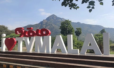 திருவண்ணாமலையில் மினி டைடல் பூங்கா: டெண்டர் கோரியது தமிழ்நாடு அரசு