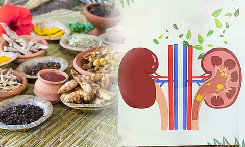 சிறுநீரக கற்கள் கரைய எளிய சித்த மருத்துவம்