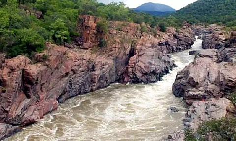 காவிரியில் இருந்து தமிழ்நாட்டிற்கு 2.5 டிஎம்சி நீர் திறந்து விட கர்நாடகாவுக்கு உத்தரவு