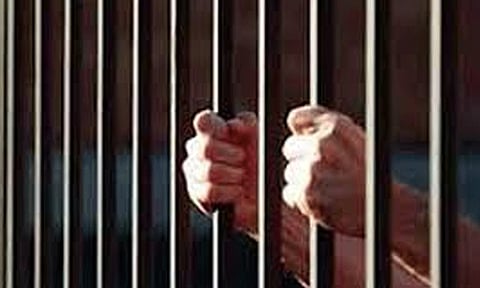 கஞ்சா கடத்திய வழக்கு: 3 பேருக்கு 12 ஆண்டுகள் சிறை தண்டனை விதிப்பு