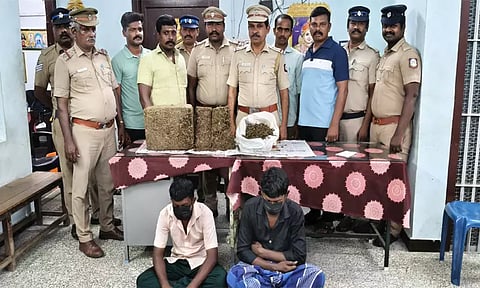 தூத்துக்குடியில் விற்பனைக்காக வைத்திருந்த 11 கிலோ கஞ்சா பறிமுதல்- 3 பேர் கைது