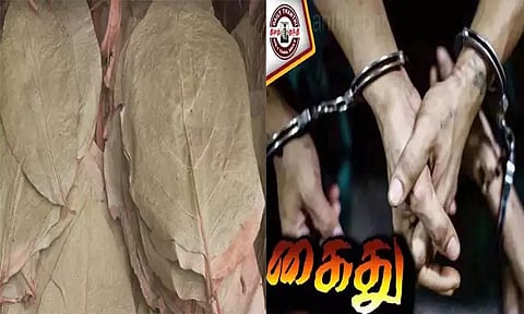 நெல்லை: இலங்கைக்கு கடல் வழியாக பீடி இலைகள் கடத்தல் முயற்சி- 5 பேர் கைது