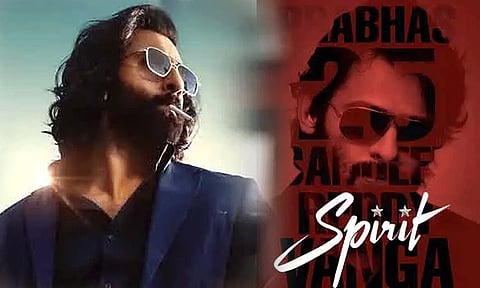 Prabhas’ Spirit OR Ranbir Kapoor’s Animal Park: Which movie will be Sandeep Reddy Vanga’s next? Producer REACTS