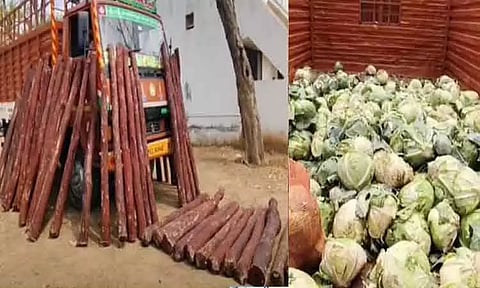 காய்கறிகள் ஏற்றிச் செல்வதுபோல் செம்மரம் கடத்தல் - 2 டன் கட்டைகள் பறிமுதல்