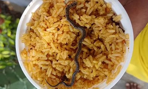 கோவில் பிரசாதத்தில் பாம்பு: பக்தர்கள் அதிர்ச்சி