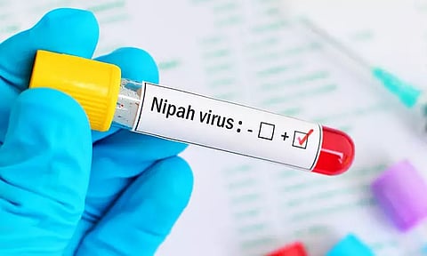 கேரளாவில் மீண்டும் நிபா வைரஸ் பாதிப்பு