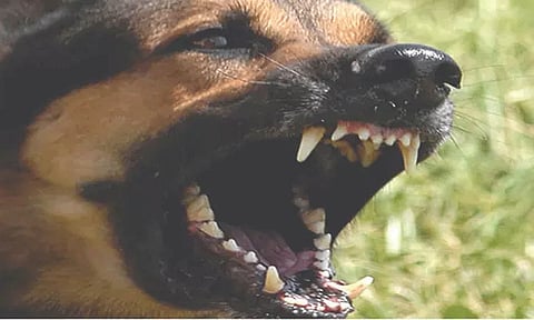 கோப்புப்படம்