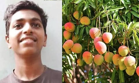 மாம்பழம் பறிக்க முயன்றபோது மரத்தில் இருந்து தவறி விழுந்து மாணவன் உயிரிழப்பு