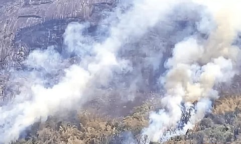 மேற்கு தொடர்ச்சி மலை பகுதியில் பற்றி எரியும் காட்டுத்தீ