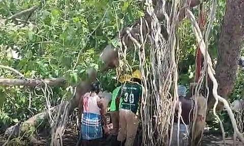 தி.மலை அருகே ஆலமரக்கிளை முறிந்து விபத்து - 2 பெண்கள் உயிரிழப்பு