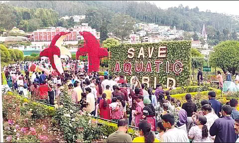 ஊட்டியில் ரோஜா கண்காட்சி மேலும் 2 நாட்கள் நீட்டிப்பு