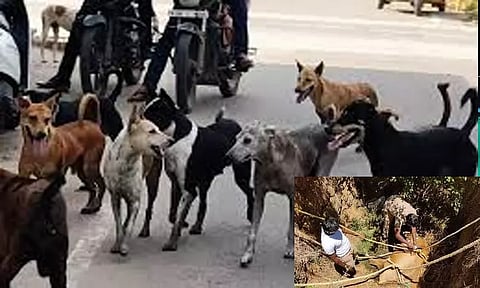 கோப்புப்படம்