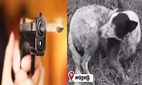 நாயை துப்பாக்கியால் சுட்ட ஓய்வு பெற்ற அரசு அதிகாரி கைது