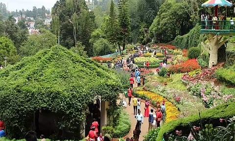 உதகை மலர் கண்காட்சி: 6 நாட்களில் 1.13 லட்சம் பேர் பார்வையிட்டனர்...!