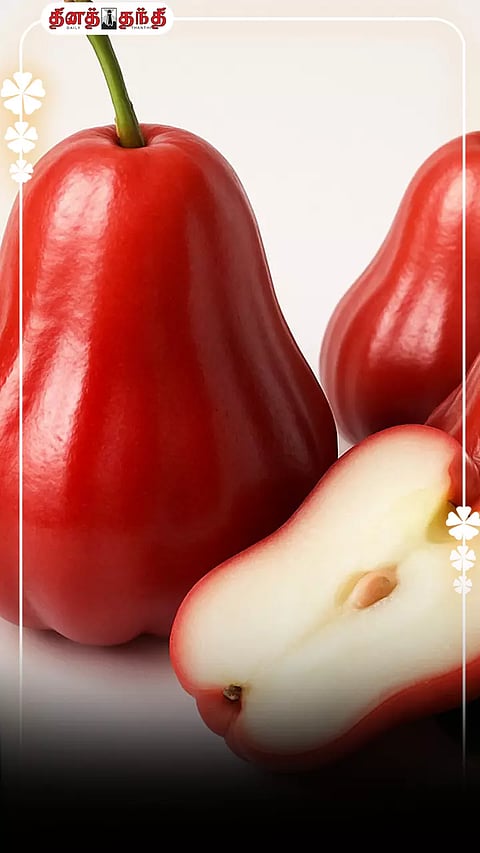 கோடைகாலத்தில் நன்மைகளை அள்ளித்தரும் நீர் ஆப்பிள்..!