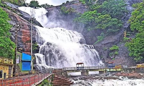 சுற்றுலா பயணிகள் குற்றால அருவிகளில் குளிக்க 5-வது நாளாக தடை நீட்டிப்பு