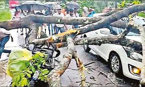 கேரளாவில் கனமழைக்கு 10 பேர் பலி