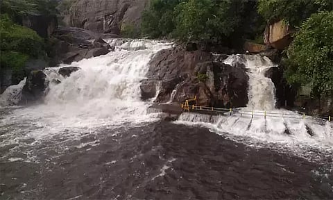 மணிமுத்தாறு அருவியில் குளிக்க 10-வது நாளாக தடை