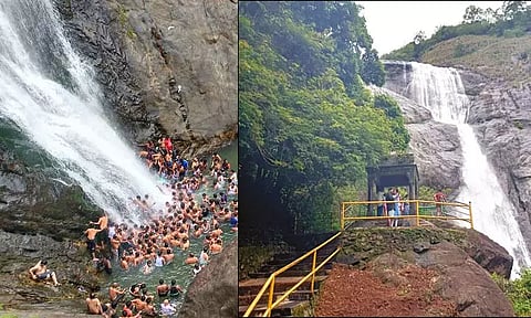 35 நாட்களுக்கு பிறகு மீண்டும் திறப்பு: பாலருவியில் சுற்றுலா பயணிகள் உற்சாக குளியல்