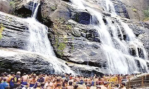 பக்ரீத், வார விடுமுறை: குற்றாலத்தில் குவிந்த சுற்றுலா பயணிகள்