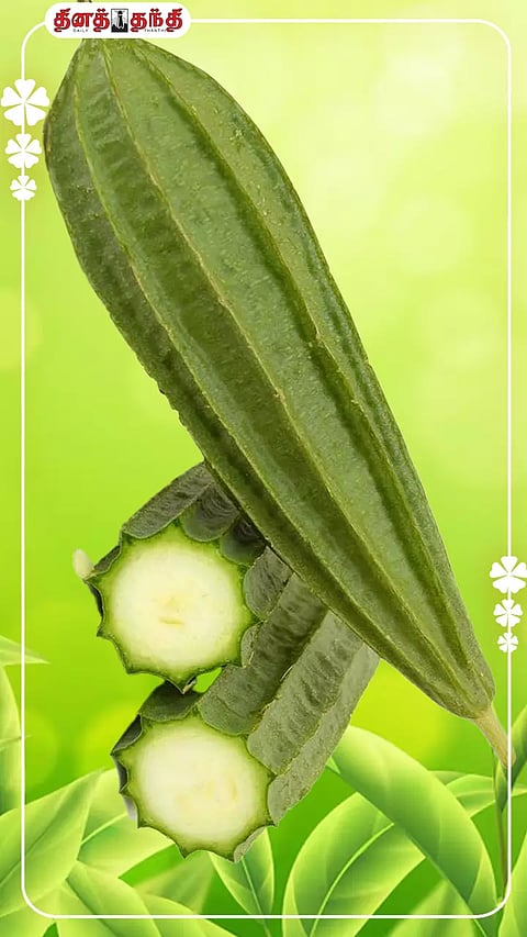 Photo credit :wikipedia