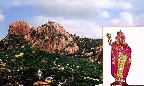 மலையே உருவாக அருள்பாலிக்கும் அர்த்தநாரீஸ்வரர்