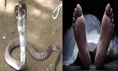 தூத்துக்குடி அருகே பாம்பு கடித்து விவசாயி சாவு