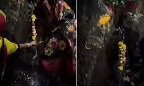 மரத்தில் இருந்து 'புனித நீர்' வருவதாக நினைத்து வணங்கிய பக்தர்கள்... அடுத்து நடந்த திருப்பம்